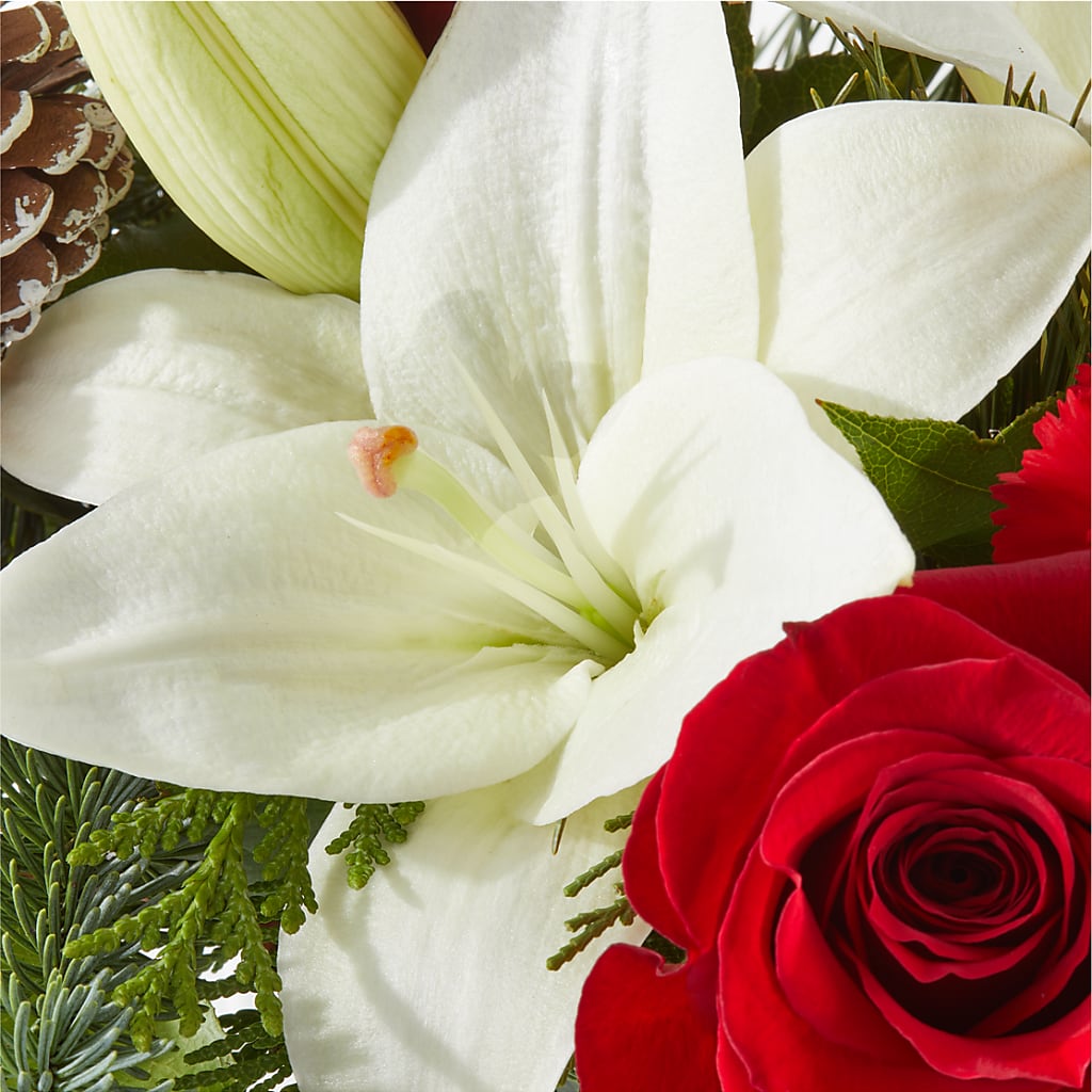 Oh So Jolly Bouquet –  Newell Flower Shop Ltd., Kamloops BC