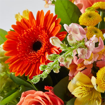 Autumn Sunshine Bouquet –  Newell Flower Shop Ltd., Kamloops BC