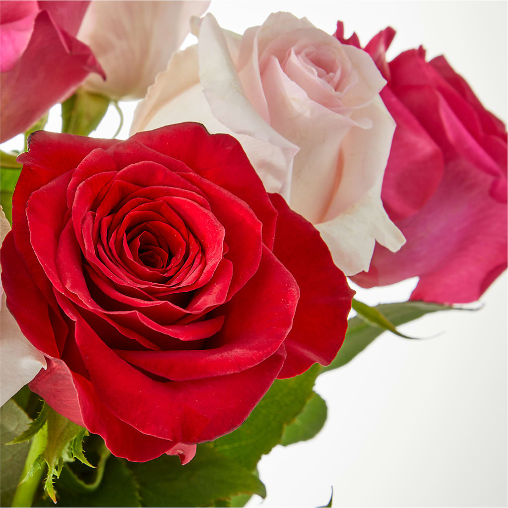 Charming Rose Bouquet –  Newell Flower Shop Ltd., Kamloops BC
