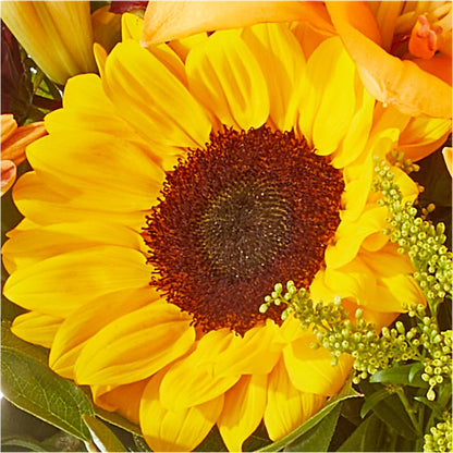 Seasons Change Bouquet –  Newell Flower Shop Ltd., Kamloops BC