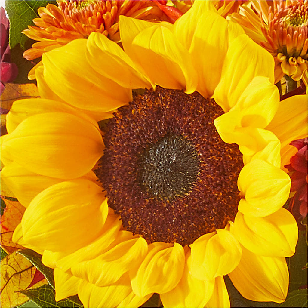 Sunny Side Bouquet –  Newell Flower Shop Ltd., Kamloops BC