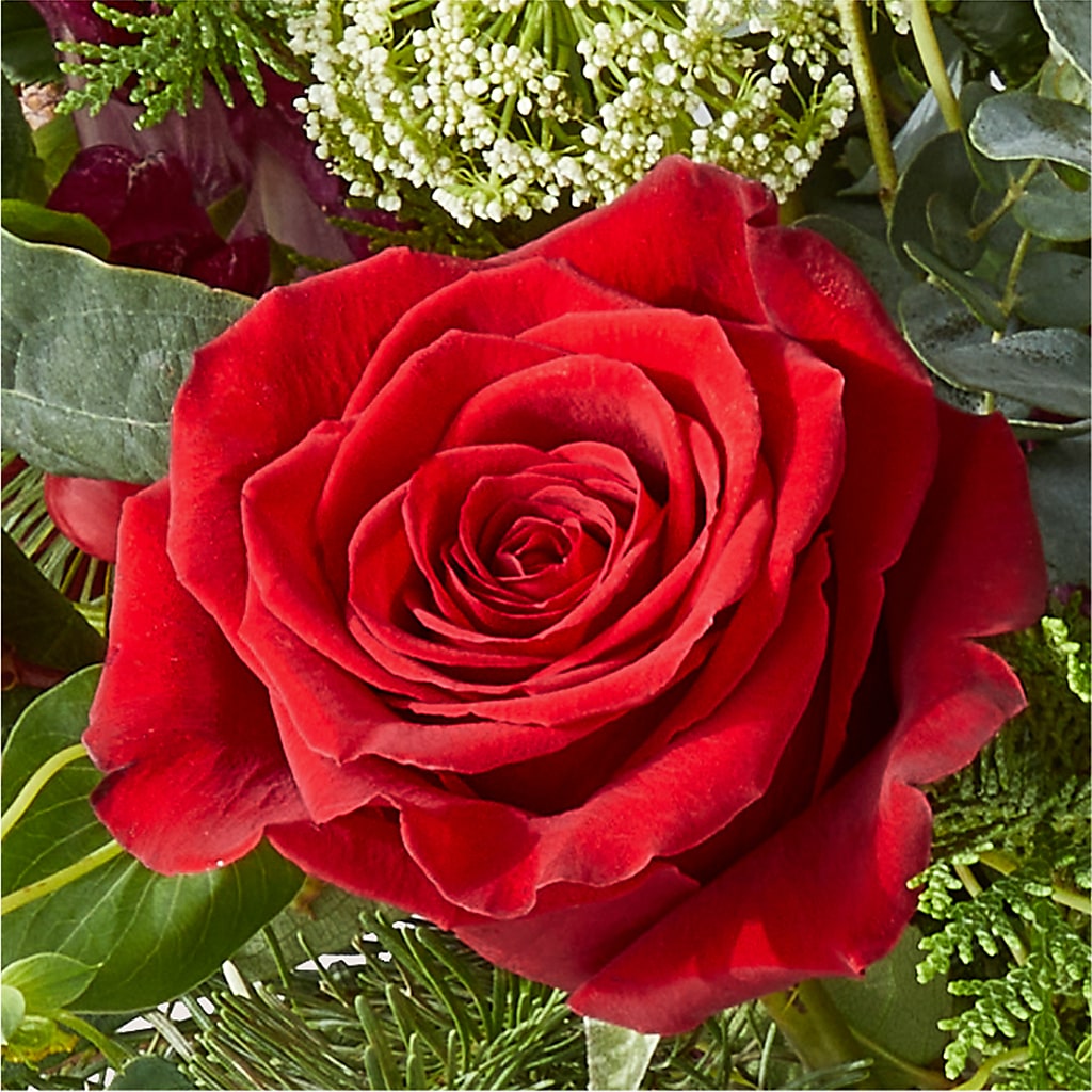 Cranberry Fizz Bouquet –  Newell Flower Shop Ltd., Kamloops BC