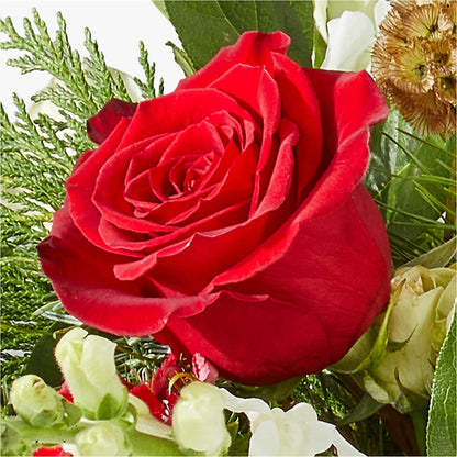 Deck the Halls Bouquet –  Newell Flower Shop Ltd., Kamloops BC