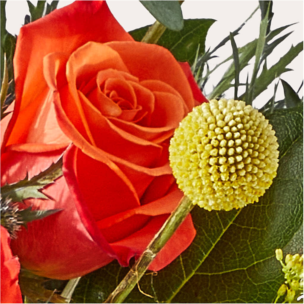 Disco Bouquet –  Newell Flower Shop Ltd., Kamloops BC