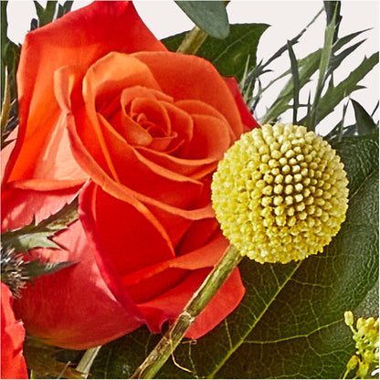 Disco Bouquet –  Newell Flower Shop Ltd., Kamloops BC