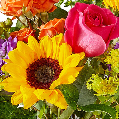 Vibrant Greetings Bouquet –  Newell Flower Shop Ltd., Kamloops BC