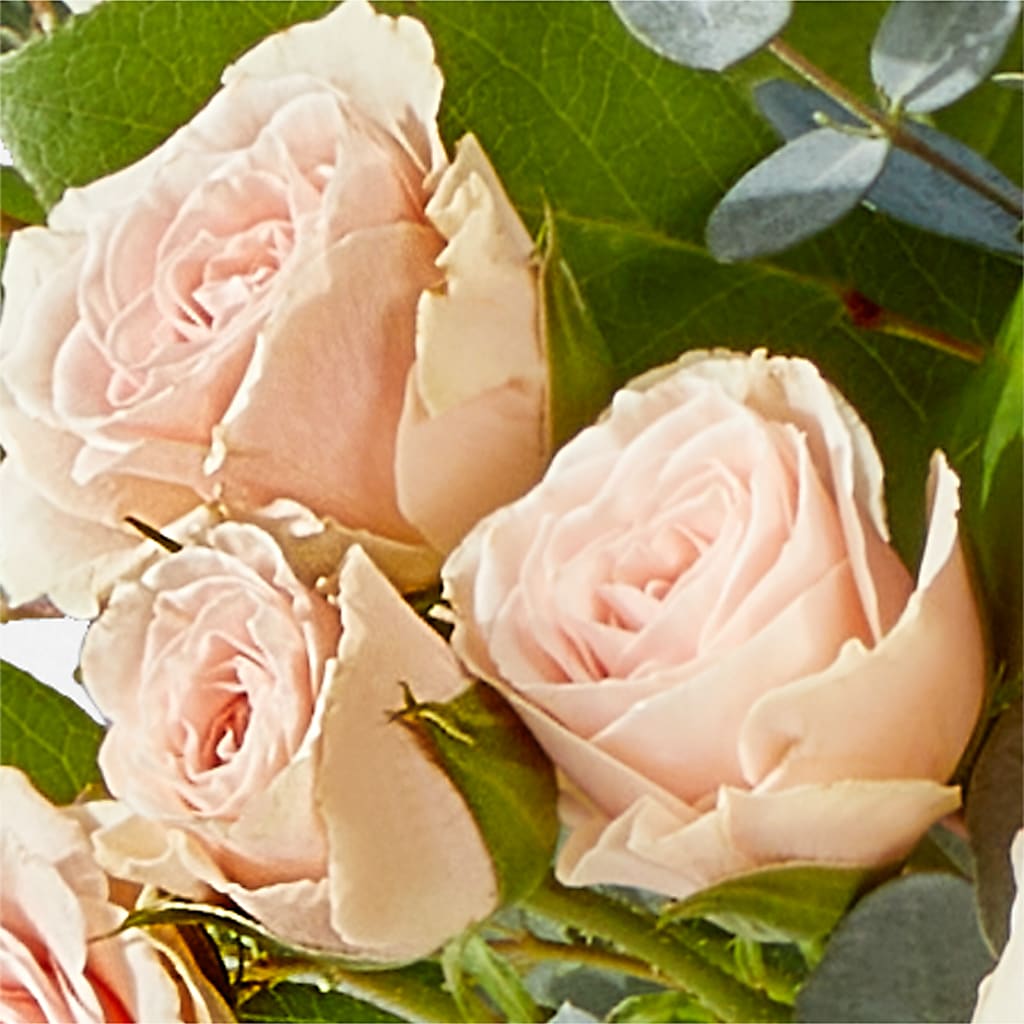 Inspired Bouquet –  Newell Flower Shop Ltd., Kamloops BC