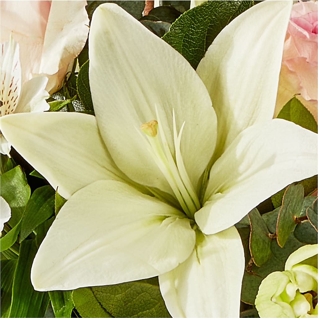 Ballet Slippers Bouquet –  Newell Flower Shop Ltd., Kamloops BC