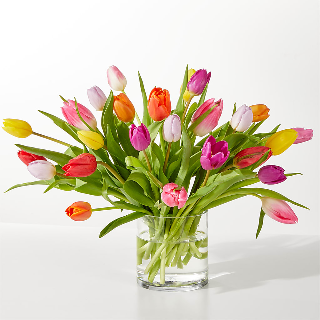 Bouquet de tulipes « L'appel du printemps »