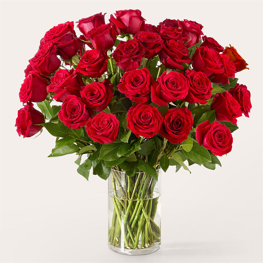 The One Red Rose Bouquet –  Newell Flower Shop Ltd., Kamloops BC