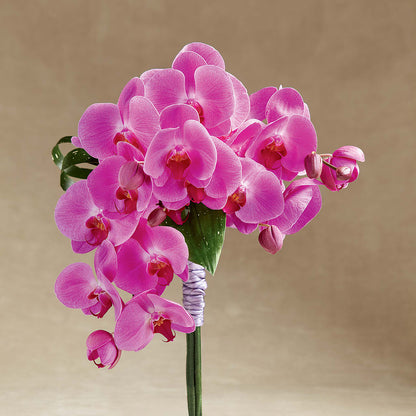 Glorious Bouquet –  Newell Flower Shop Ltd., Kamloops BC