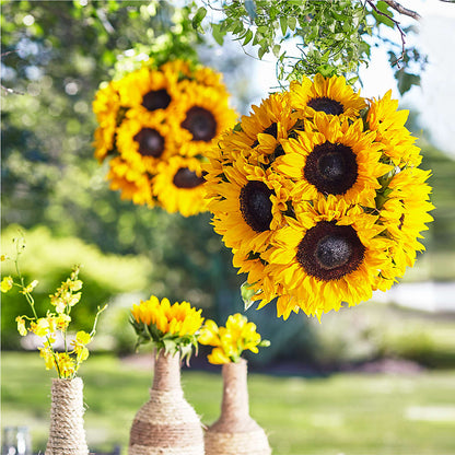 Sublime Garden Hanging Arrangement –  Newell Flower Shop Ltd., Kamloops BC