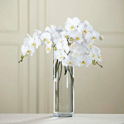 White Phalaenopsis Bouquet –  Newell Flower Shop Ltd., Kamloops BC