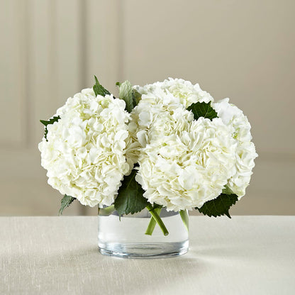 White Hydrangea Bouquet –  Newell Flower Shop Ltd., Kamloops BC