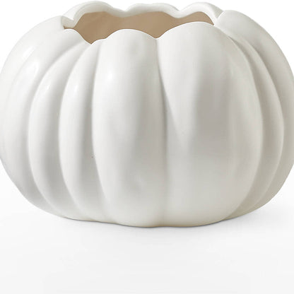 Pumpkin to Talk About Bouquet –  Newell Flower Shop Ltd., Kamloops BC